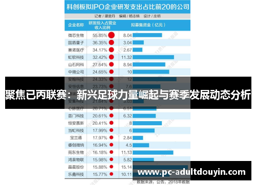 聚焦已丙联赛：新兴足球力量崛起与赛季发展动态分析