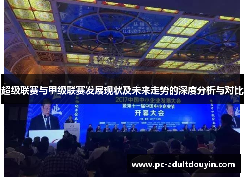 超级联赛与甲级联赛发展现状及未来走势的深度分析与对比